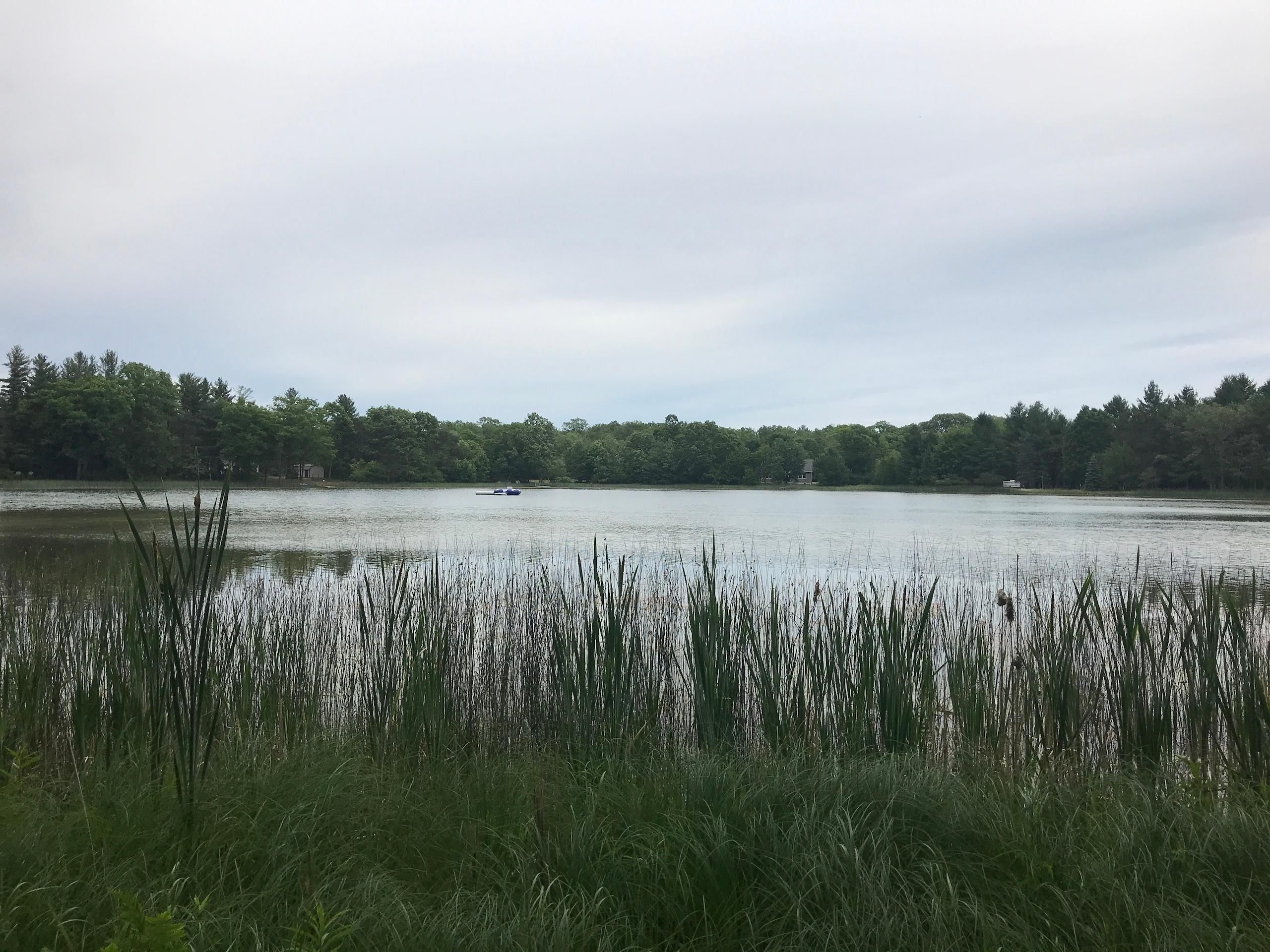 Kalkaska, Kalkaska County, MI Recreational Property, Timberland