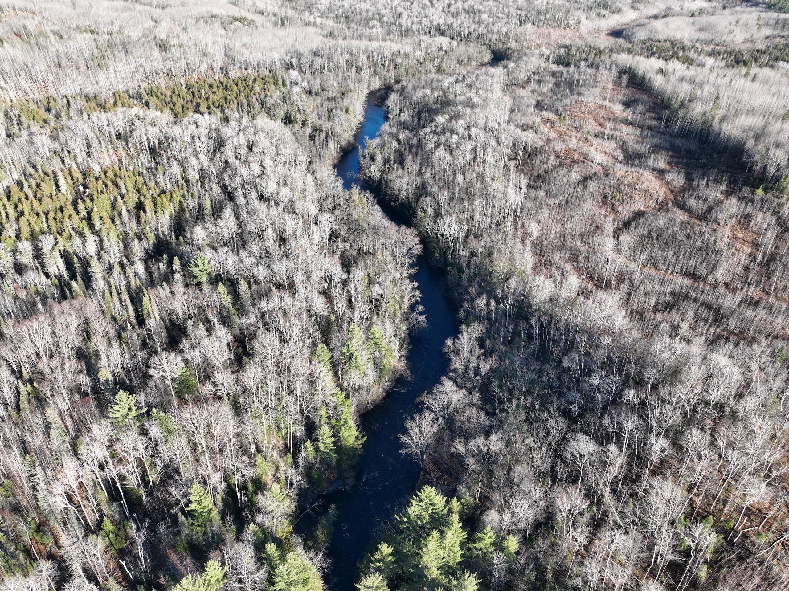 Florence, Florence County, WI Farms and Ranches, Hunting Property for