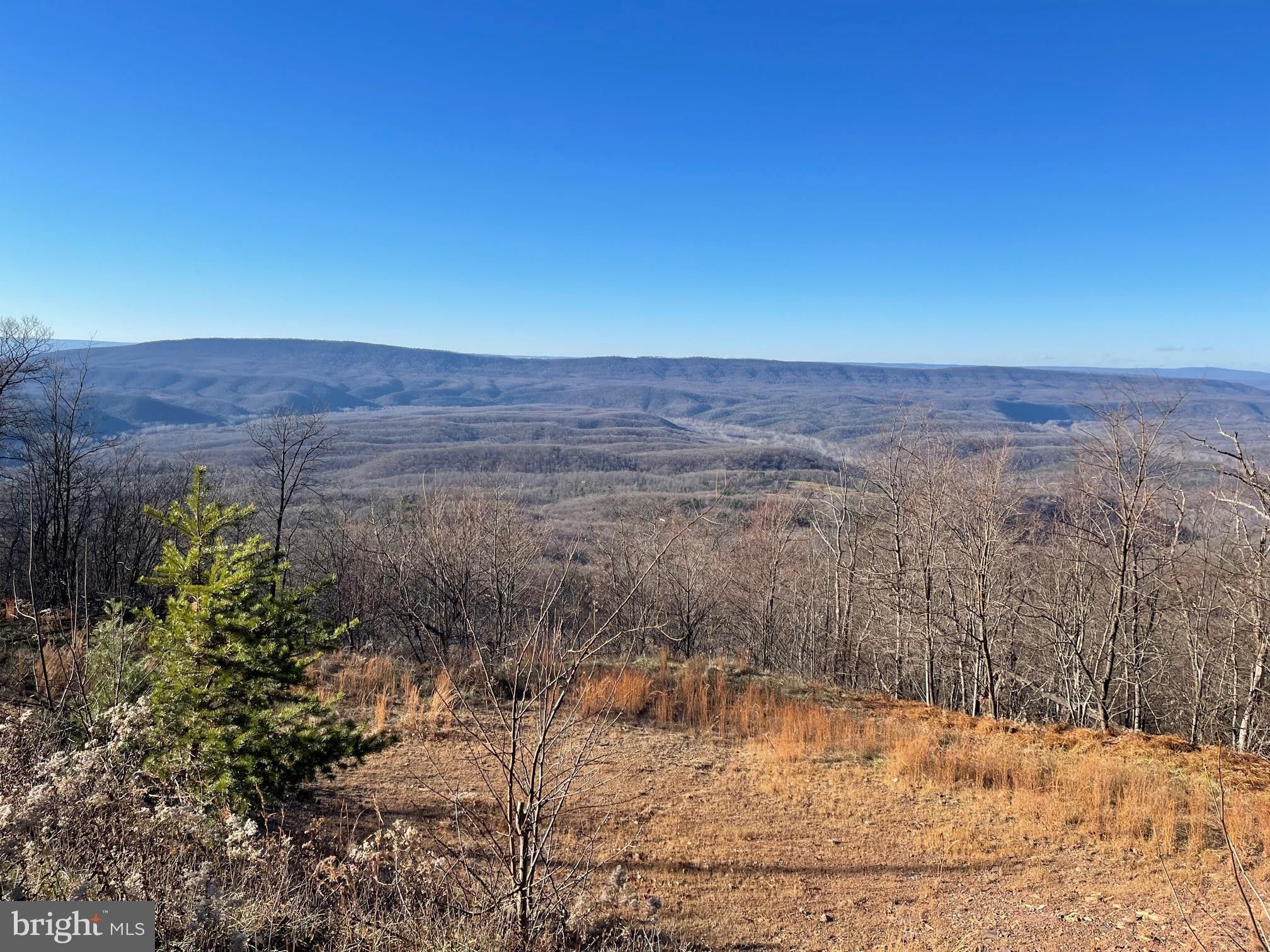 Great Cacapon, County, WV Undeveloped Land for sale Property ID
