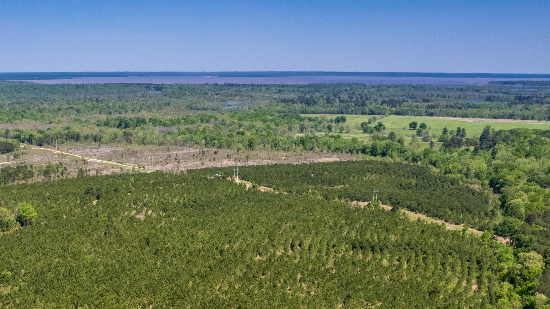 Ashdown, Little River County, AR Recreational Property, Timberland