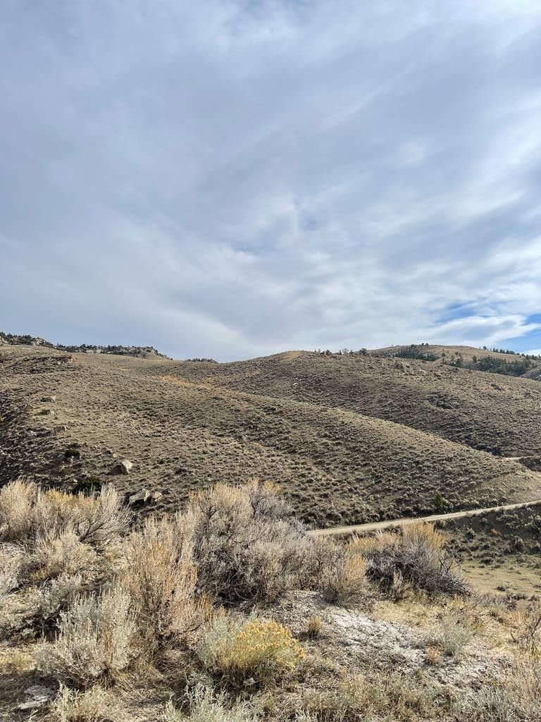 Cody, Park County, WY Undeveloped Land for sale Property ID 415365545 LandWatch