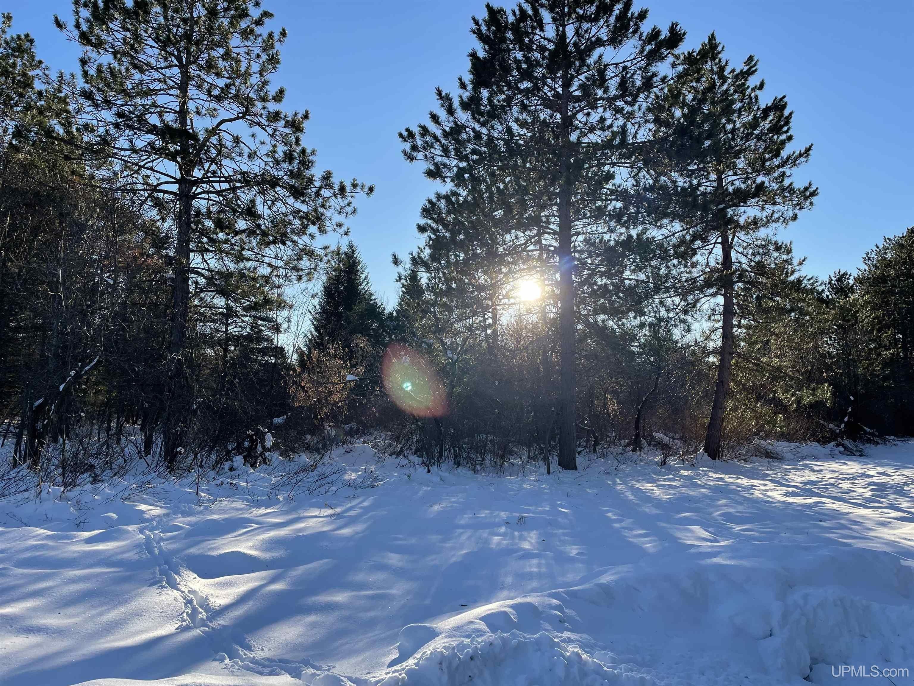 Ironwood, Gogebic County, MI Undeveloped Land for sale Property ID