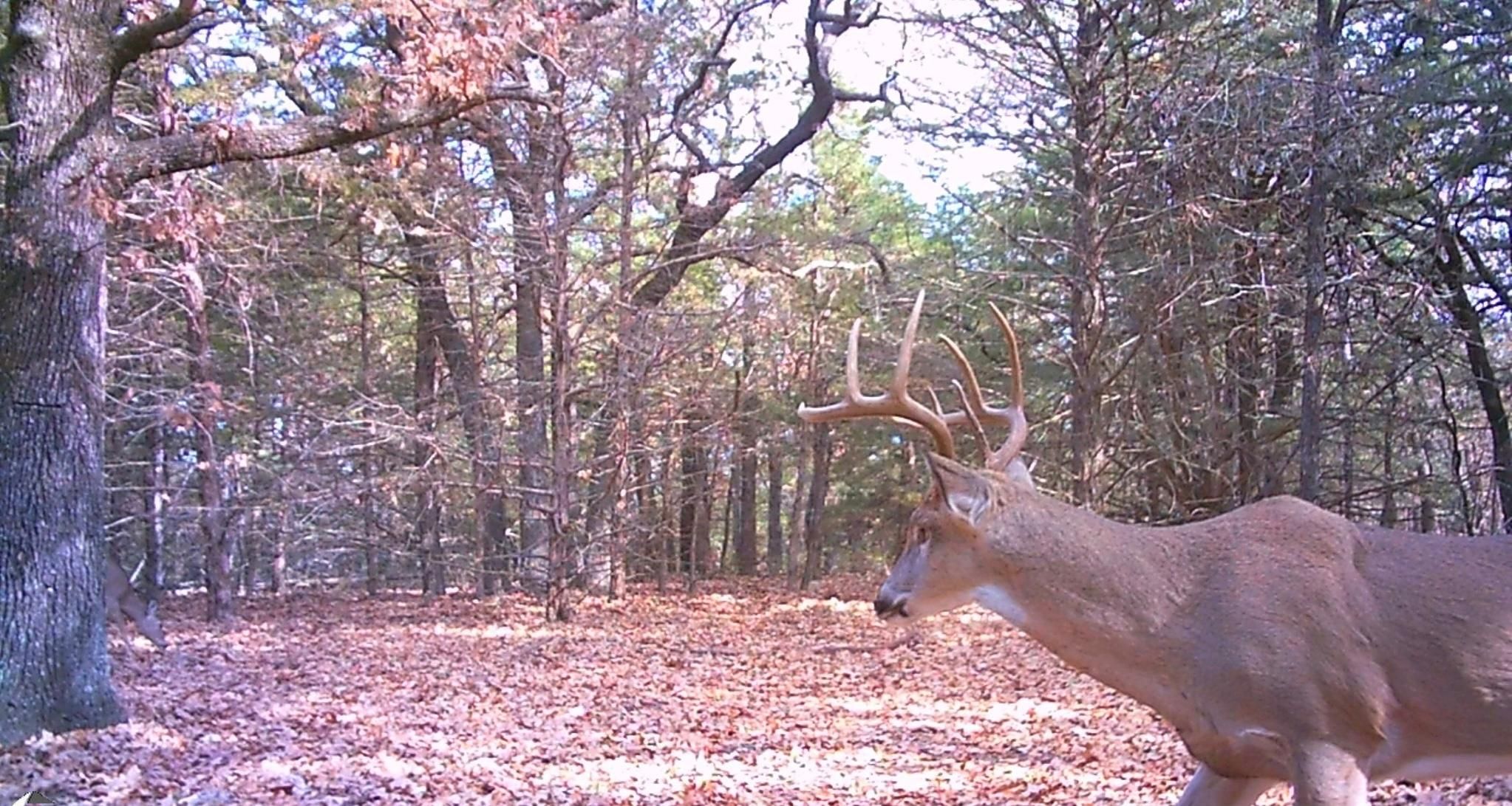 Agra, Lincoln County, OK Recreational Property, Horse Property for sale