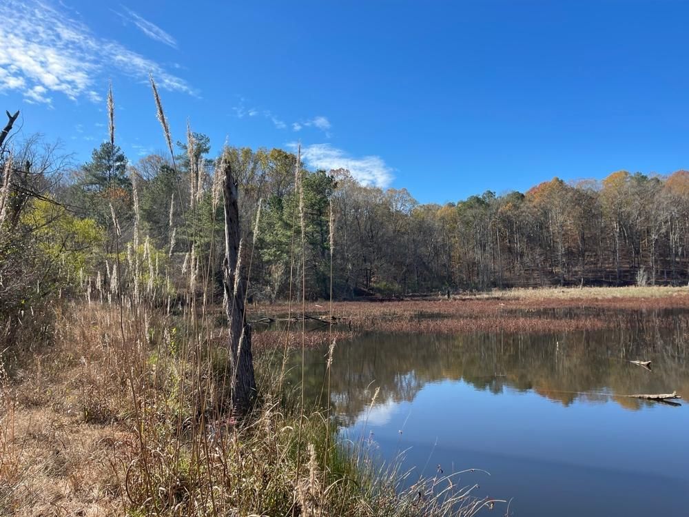Carlton, Oglethorpe County, GA Timberland Property, Hunting Property