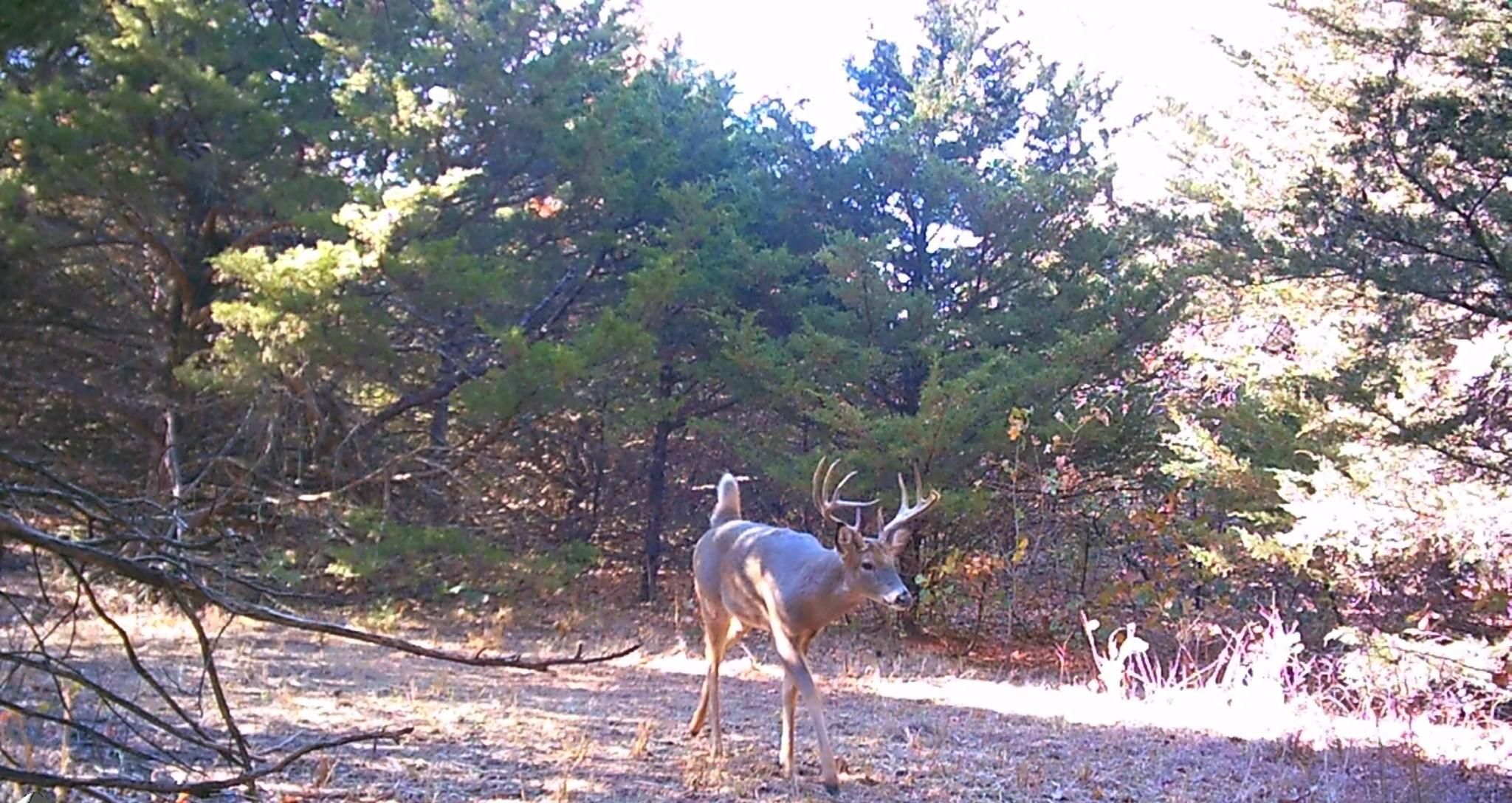 20 E 760 ROAD, Agra, OK 74824 MLS 2216835 LandWatch