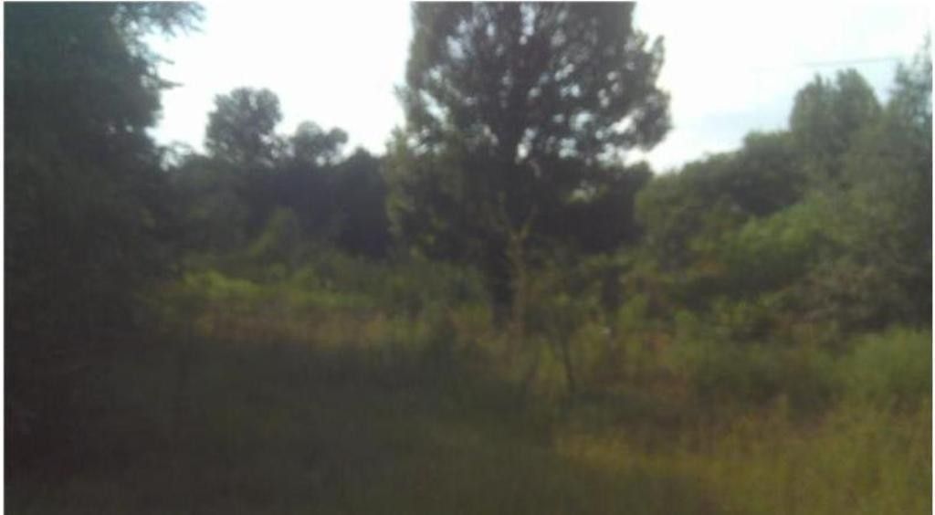 Benton, Bossier Parish, LA Farms and Ranches, Homesites for sale