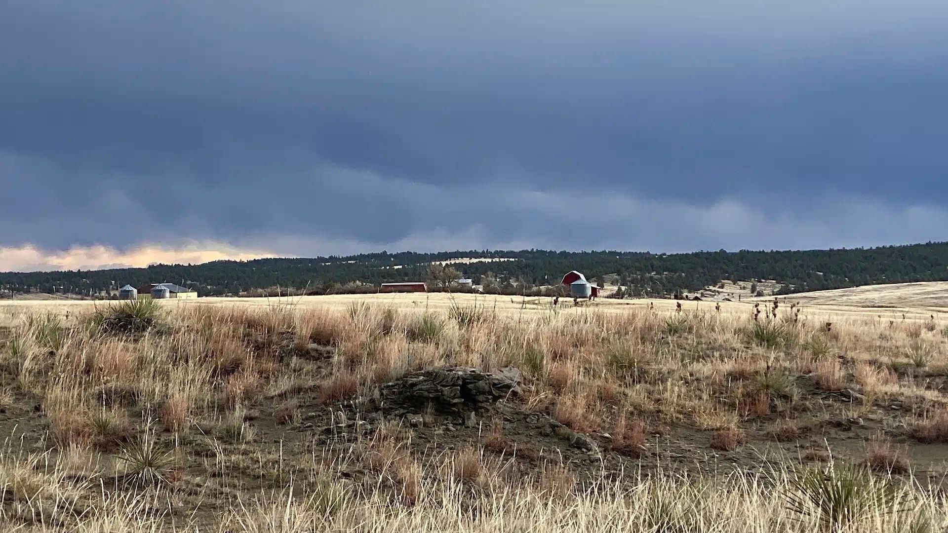 Lavina, Golden Valley County, MT Farms and Ranches, Hunting Property