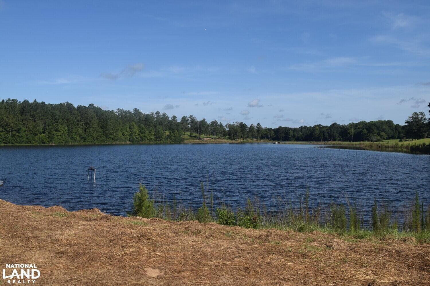 Buena Vista, Marion County, GA Recreational Property, Undeveloped Land