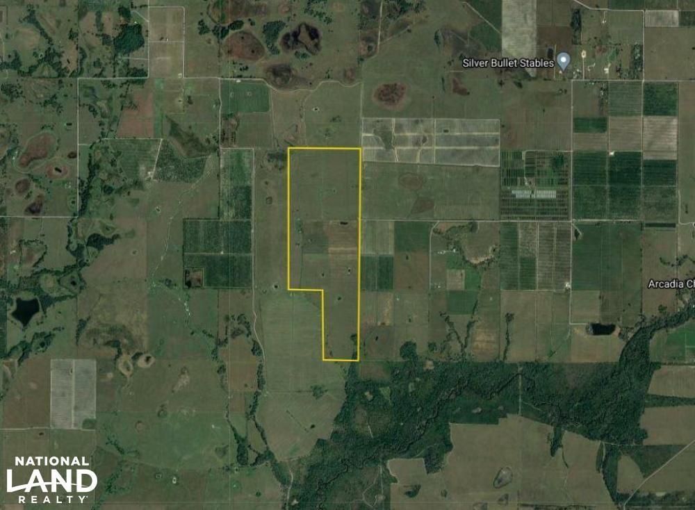 Arcadia, DeSoto County, FL Farms and Ranches, Undeveloped Land, House
