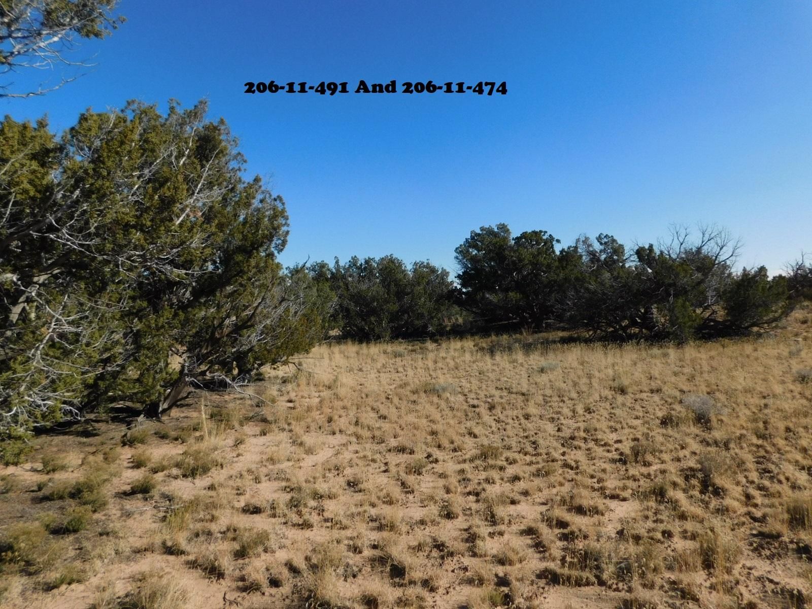 Chambers, Apache County, AZ Recreational Property, Undeveloped Land