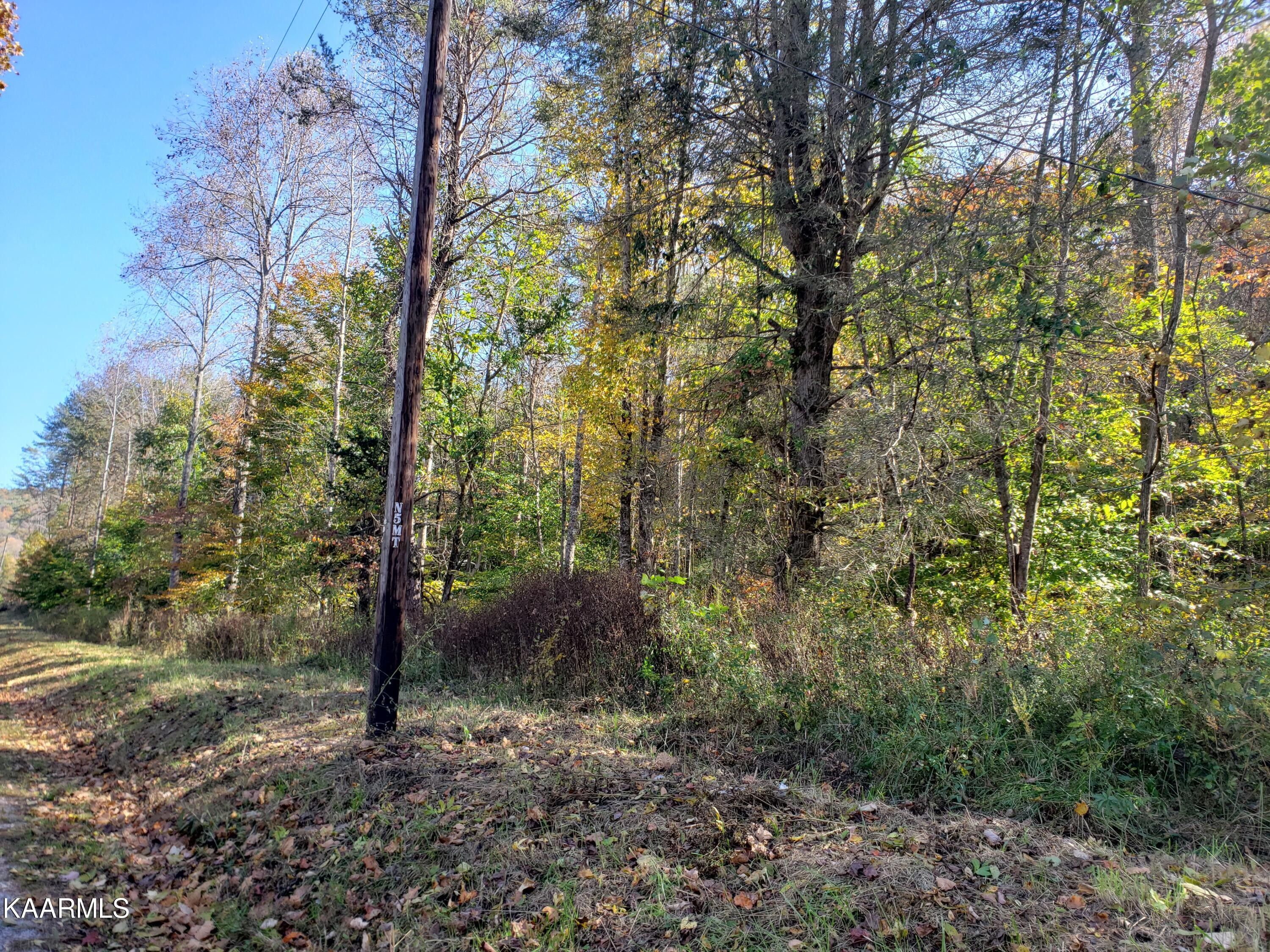 Pall Mall, Fentress County, TN for sale Property ID 415369017 LandWatch