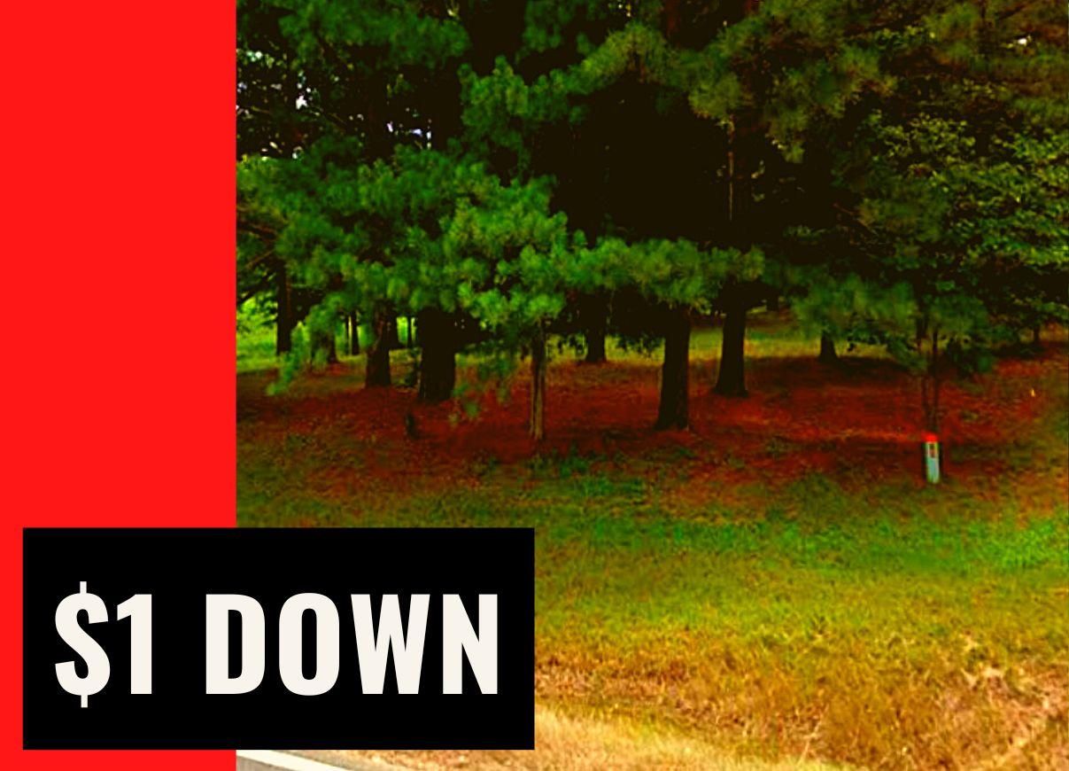 Saulsbury, Hardeman County, TN Recreational Property, Undeveloped Land