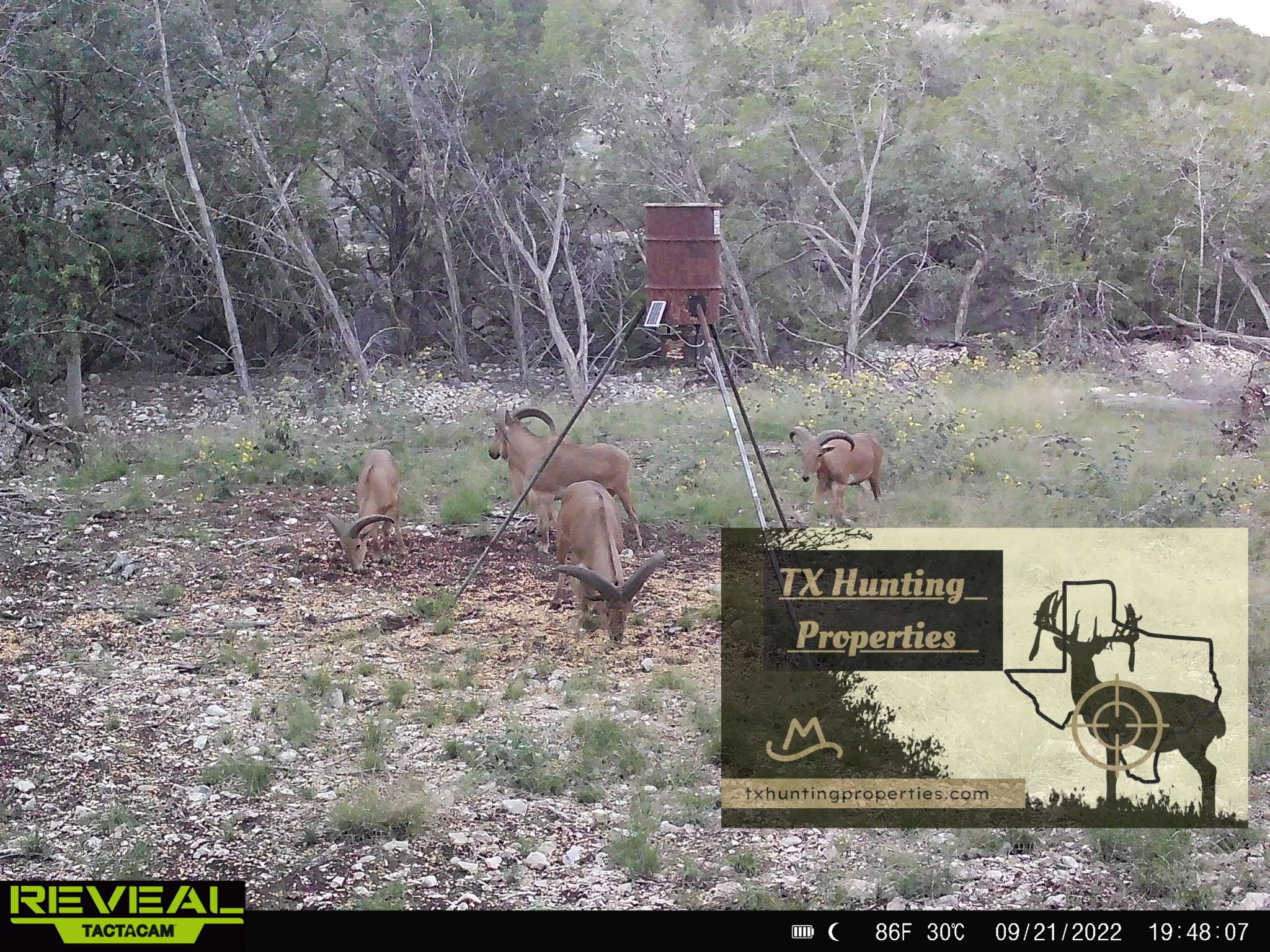 Rocksprings, Edwards County, TX Farms and Ranches, Recreational