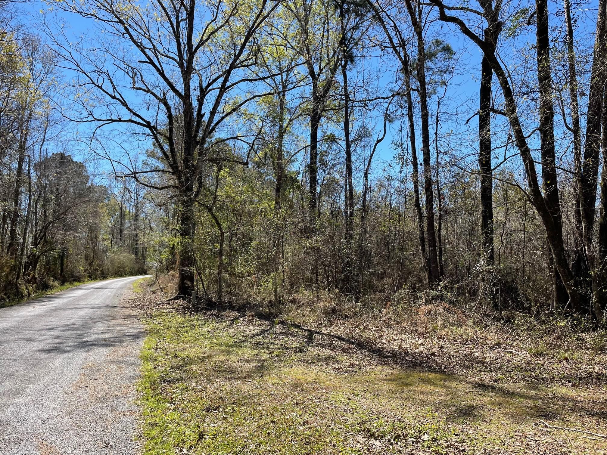 Lauderdale Woodyard Road, Oberlin, LA 70648 LandWatch