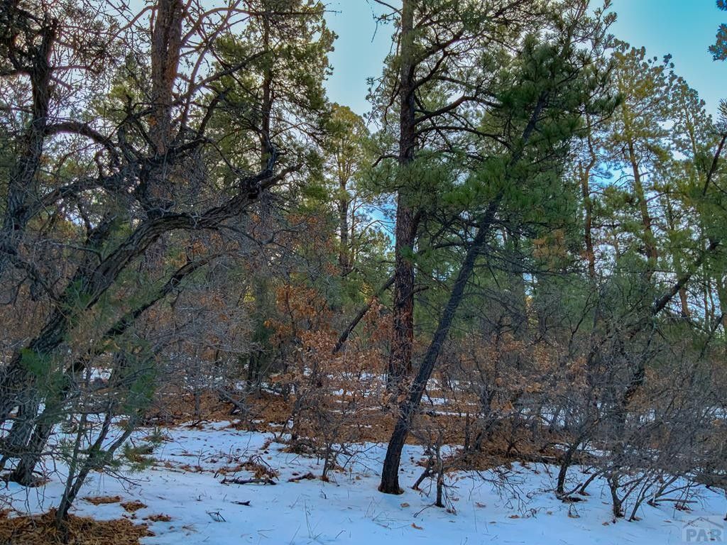 Aguilar, Las Animas County, CO Undeveloped Land for sale Property ID