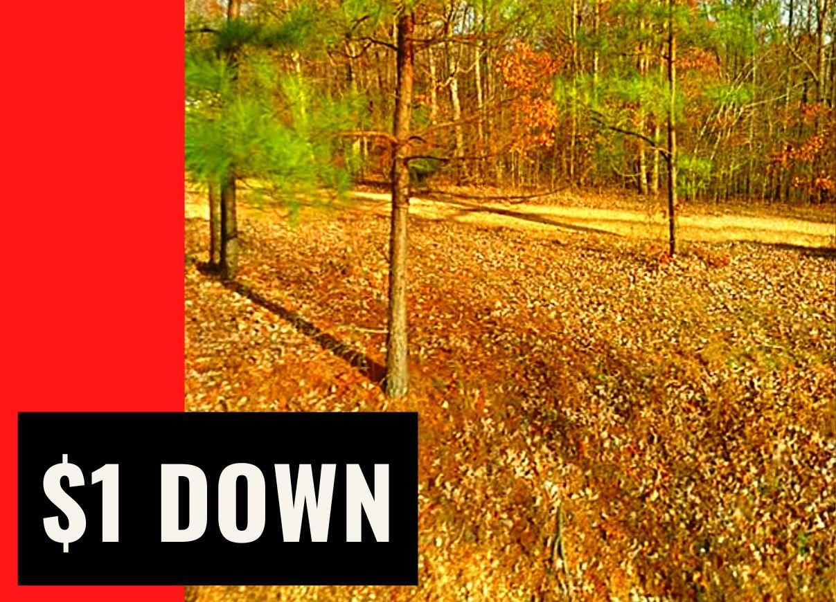 Bumpus Mills, Stewart County, TN Recreational Property, Undeveloped