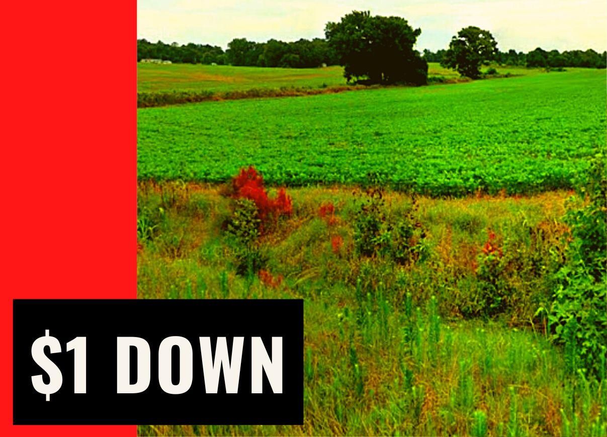 Trenton, Gibson County, TN Recreational Property, Undeveloped Land
