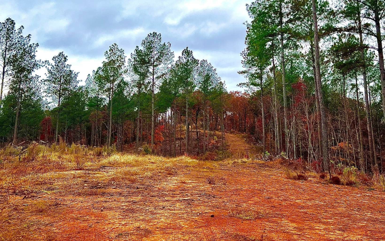 Ellijay, Gilmer County, GA Undeveloped Land, Homesites for sale Property ID 415375101 LandWatch