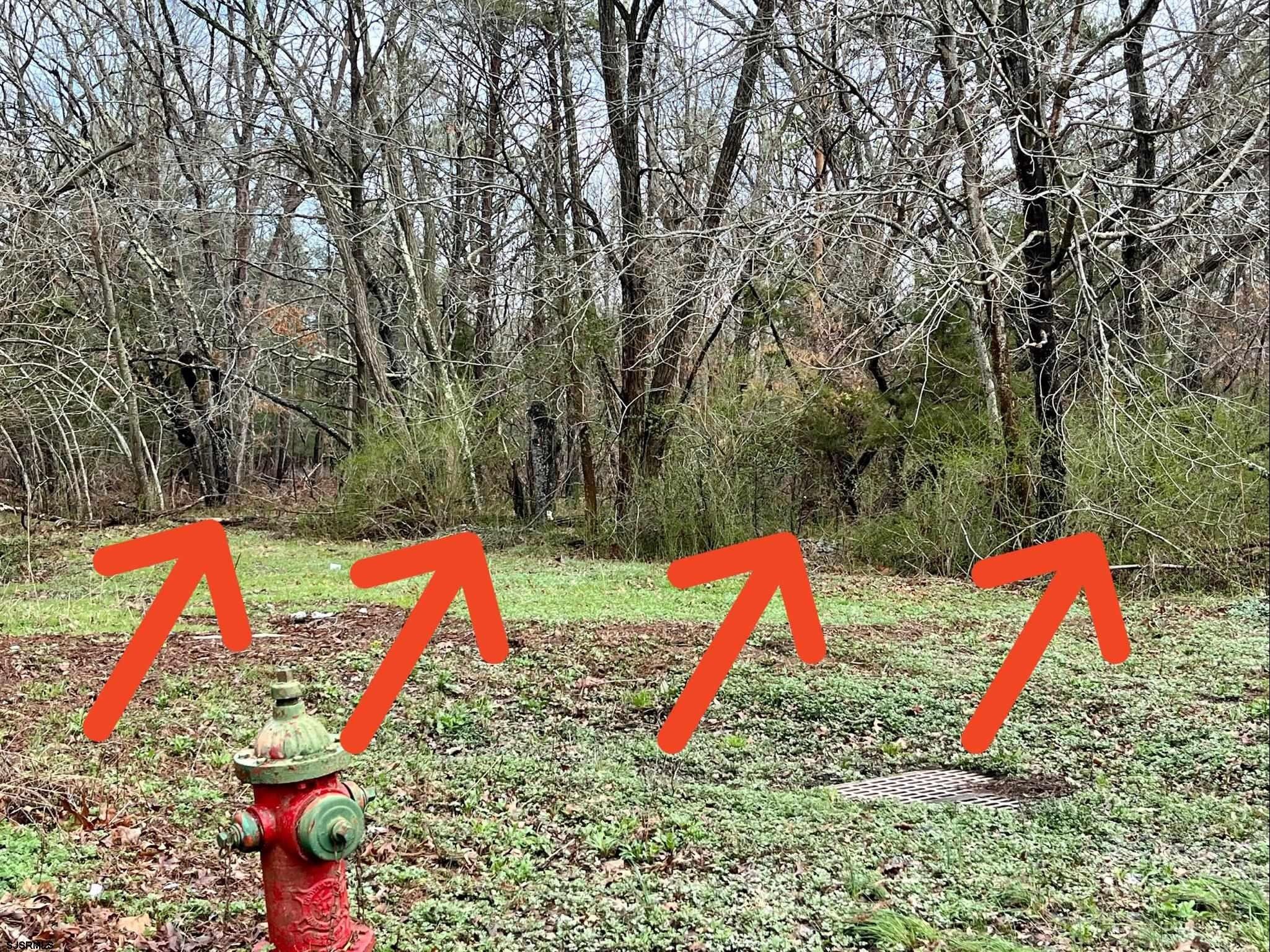 Belleplain, Cape May County, NJ Farms and Ranches, Homesites for sale Property ID 415376033