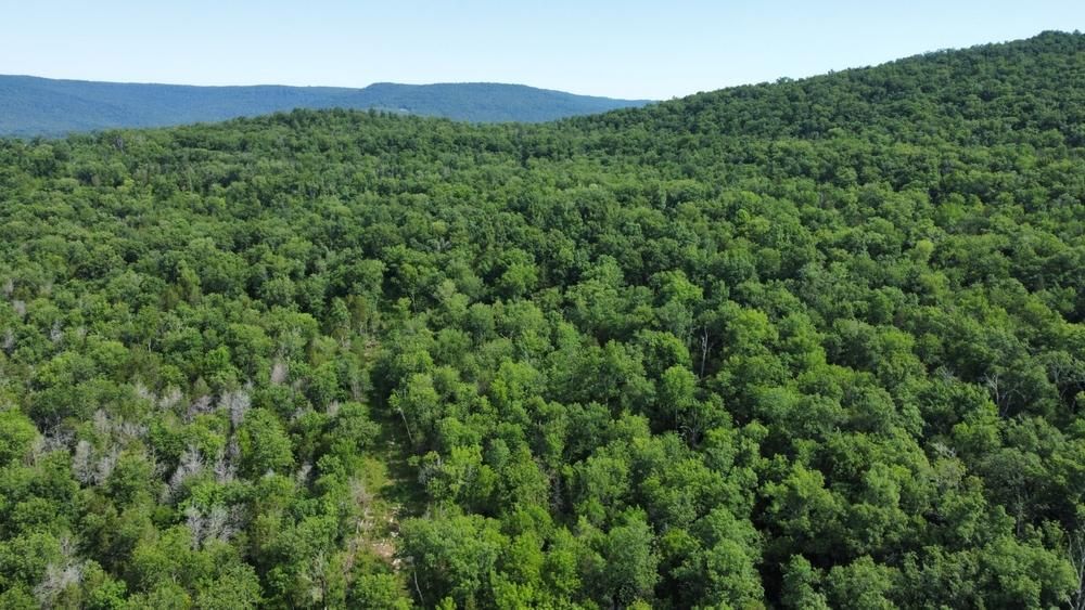 Woodville, Jackson County, AL Hunting Property for sale Property ID