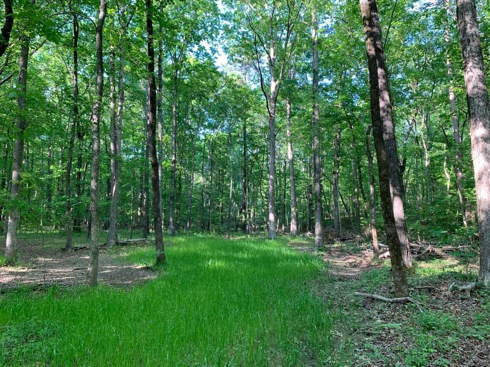 Gadsden, Etowah County, AL Undeveloped Land, House for sale Property ID