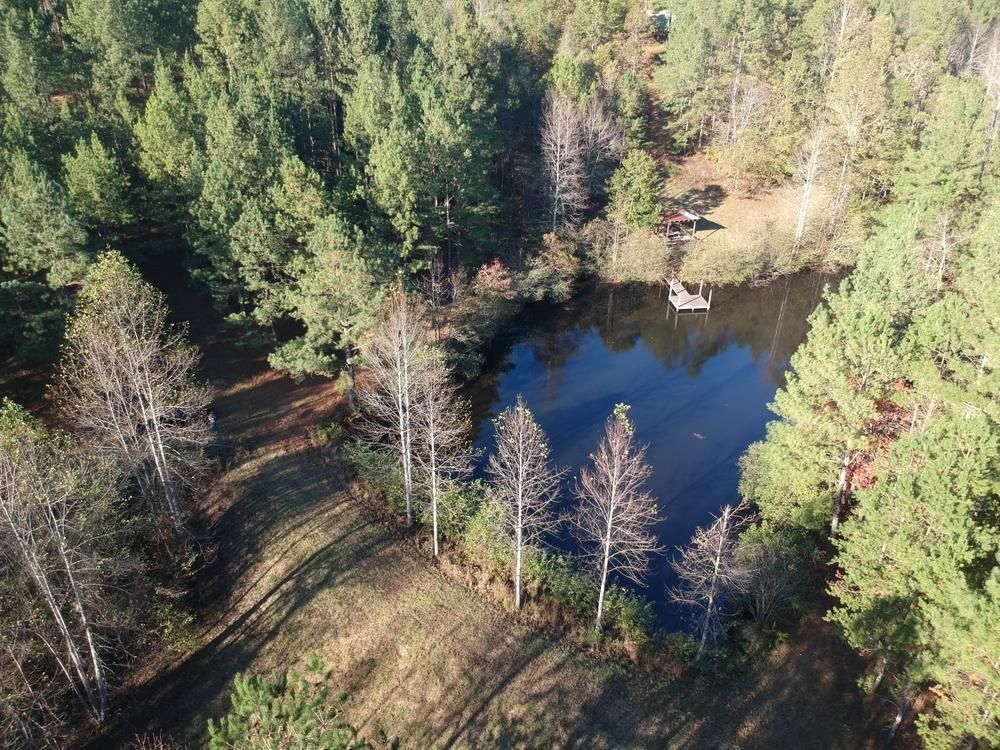 Edwardsville, Cleburne County, AL Timberland Property, Hunting Property