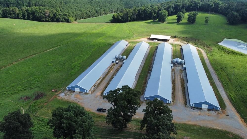 Gaylesville, Cherokee County, AL Farms and Ranches, Commercial Property