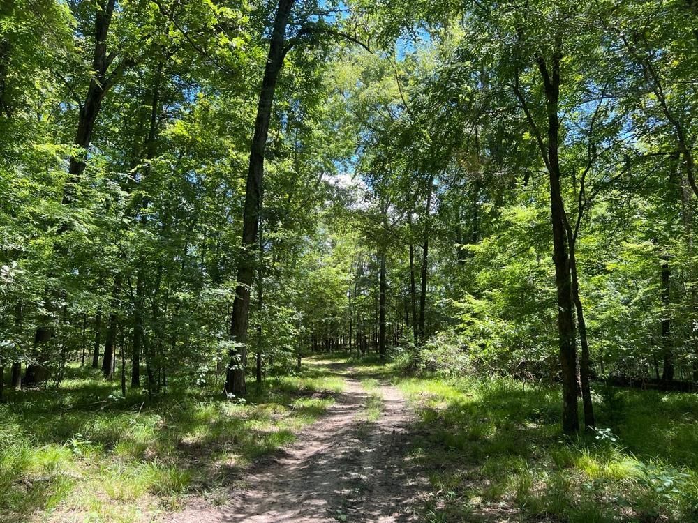 830 County Road 23, Hardaway, AL 36039 LandWatch