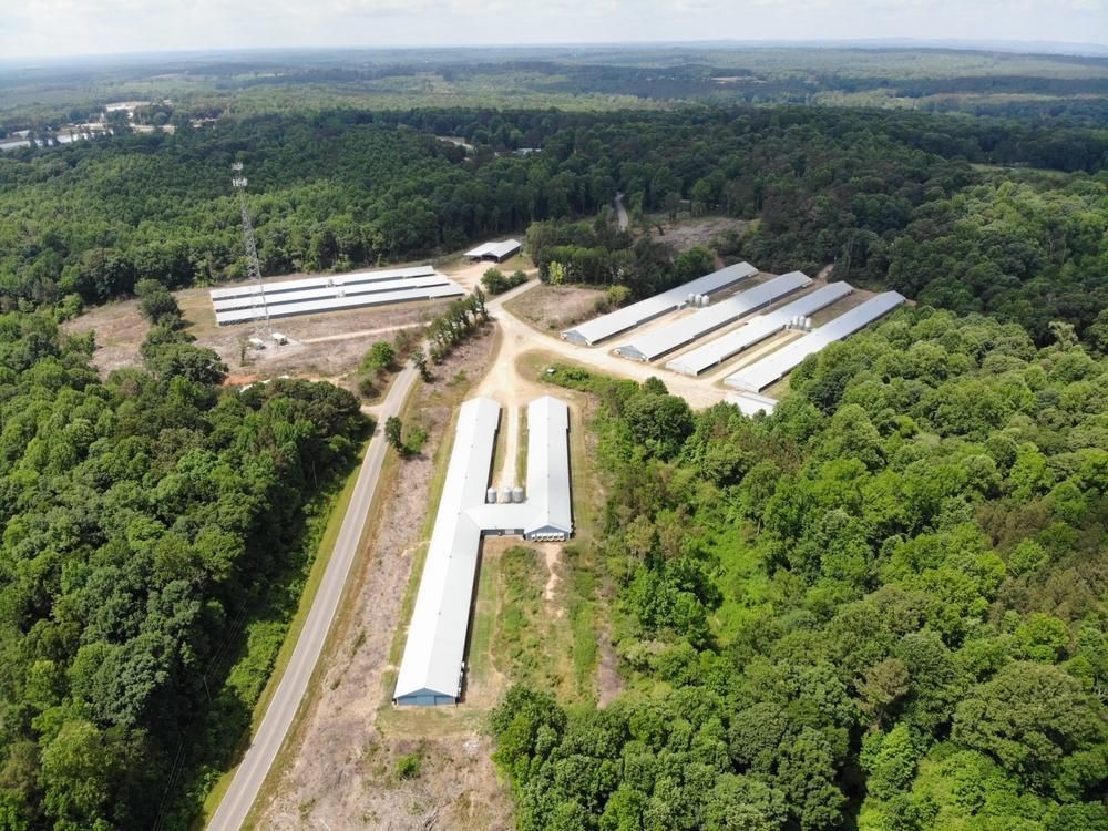 Bowdon, Carroll County, GA Farms and Ranches, Commercial Property for