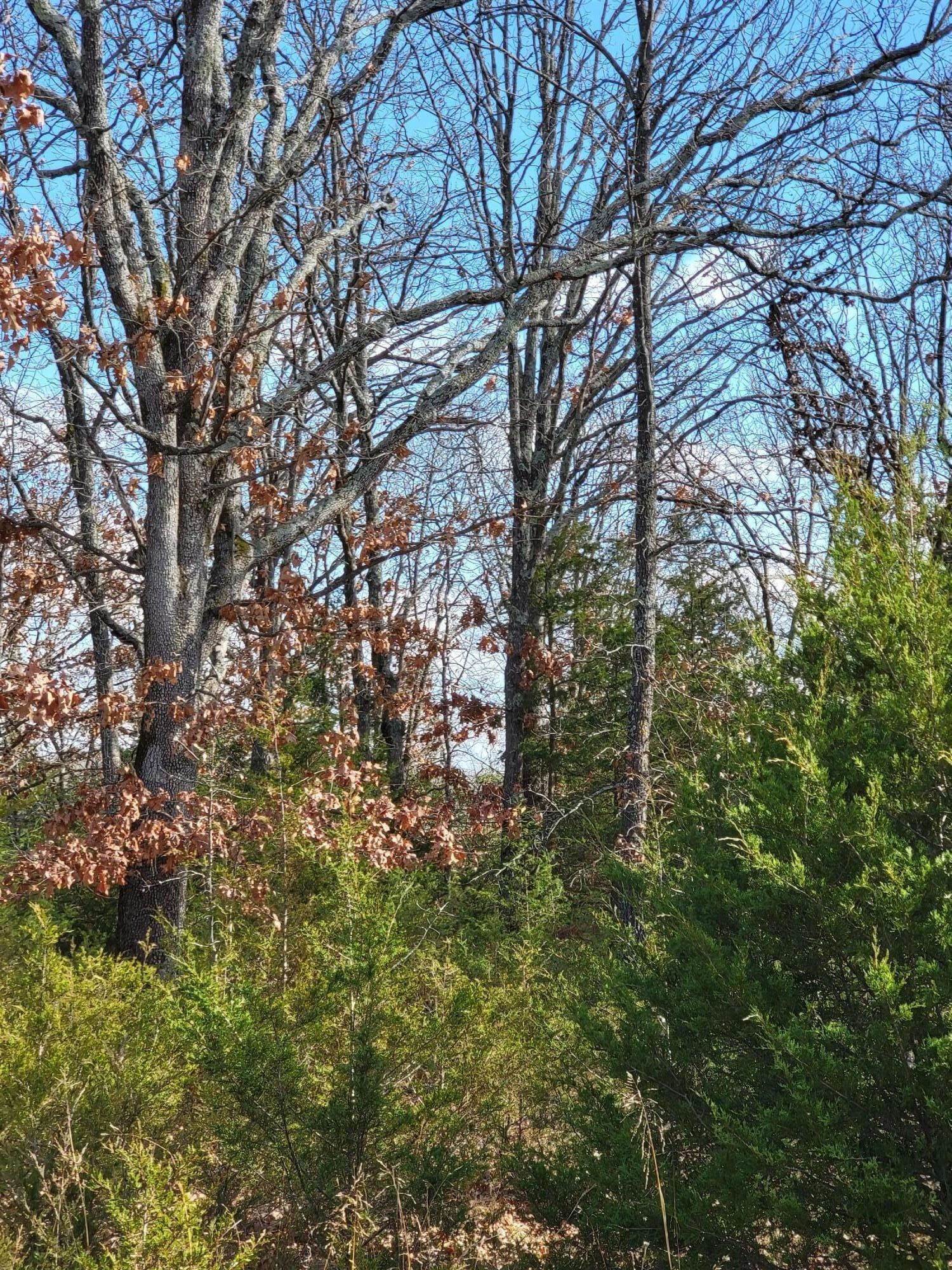 Marshfield, ster County, MO for sale Property ID 415378216 LandWatch