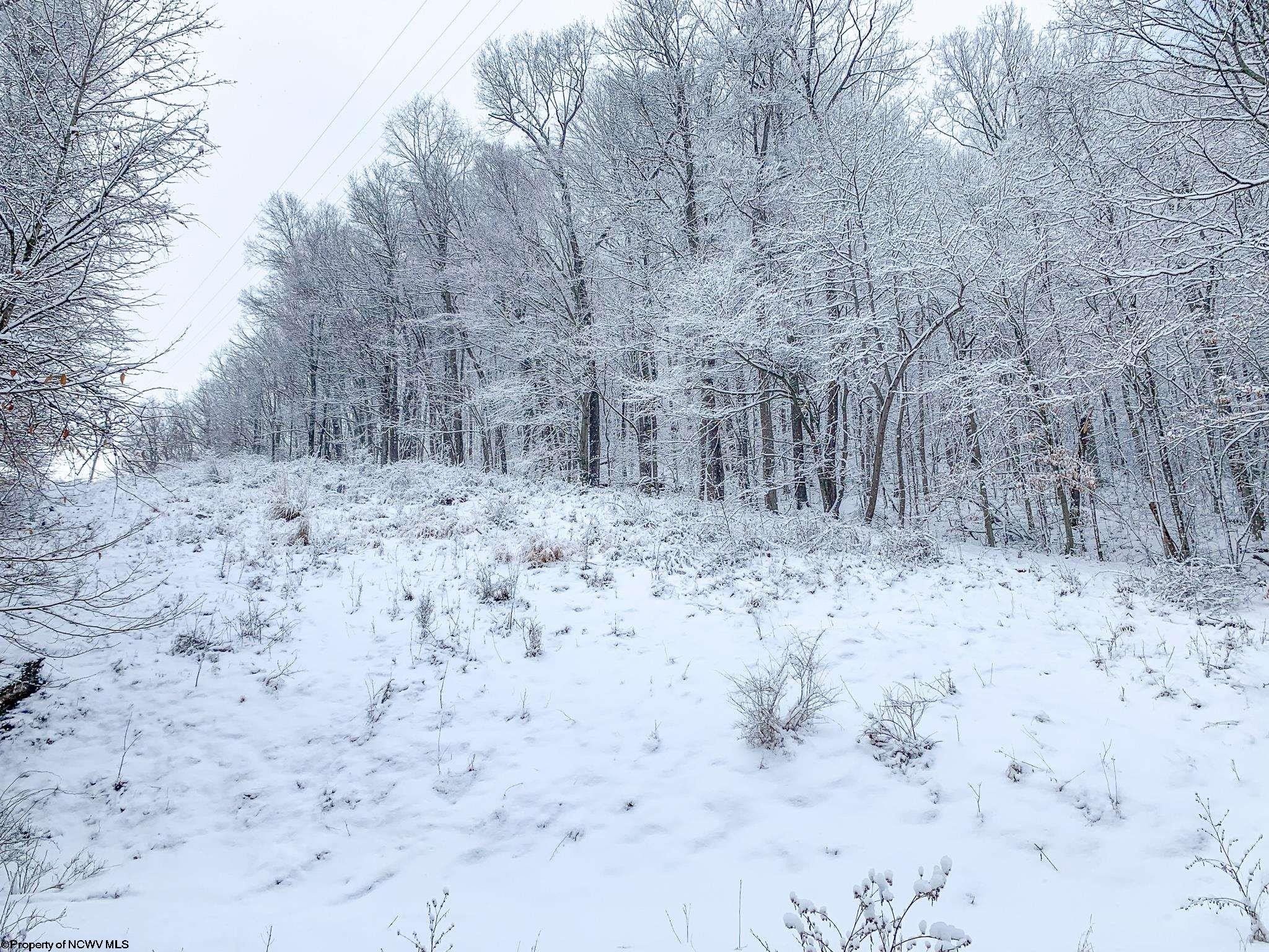 Elkins, Randolph County, WV Undeveloped Land, Lakefront Property, Waterfront Property for sale