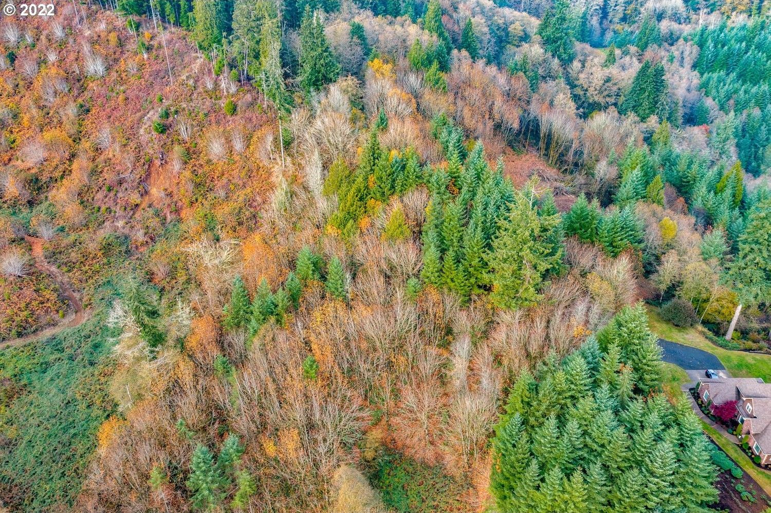 Longview, Cowlitz County, WA Undeveloped Land for sale Property ID