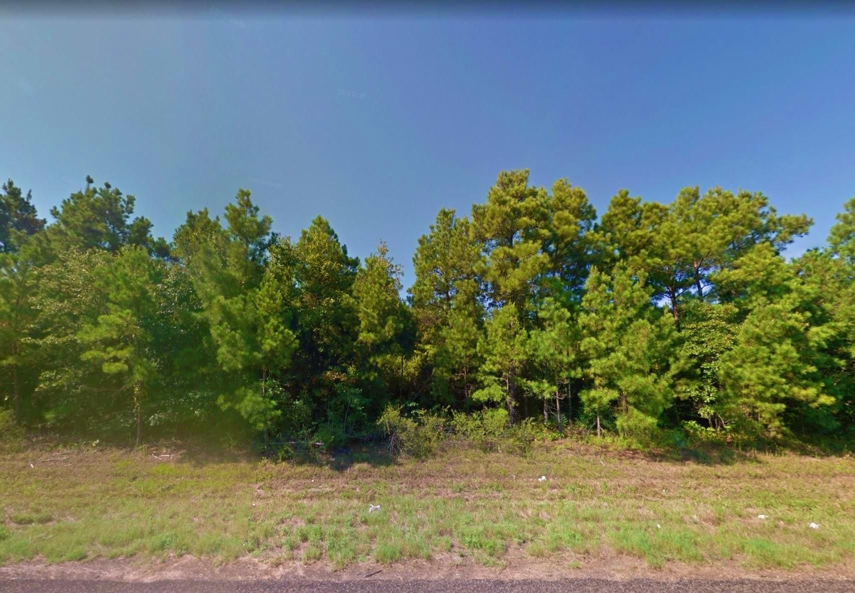 Coldspring, San Jacinto County, TX Recreational Property, Undeveloped