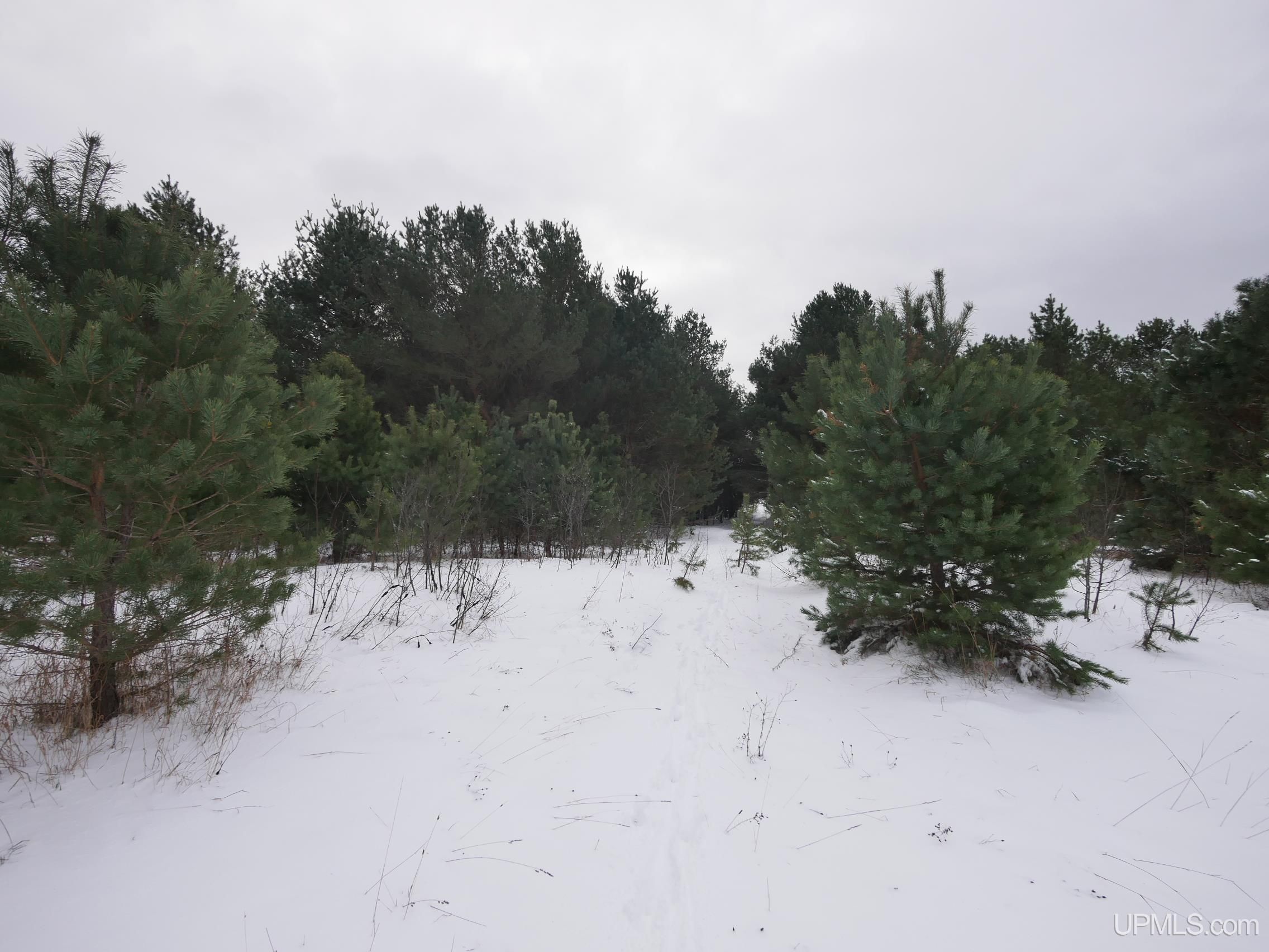 TBDB Bootjack Rd, Lake Linden, MI 49945 MLS 50096998 LandWatch