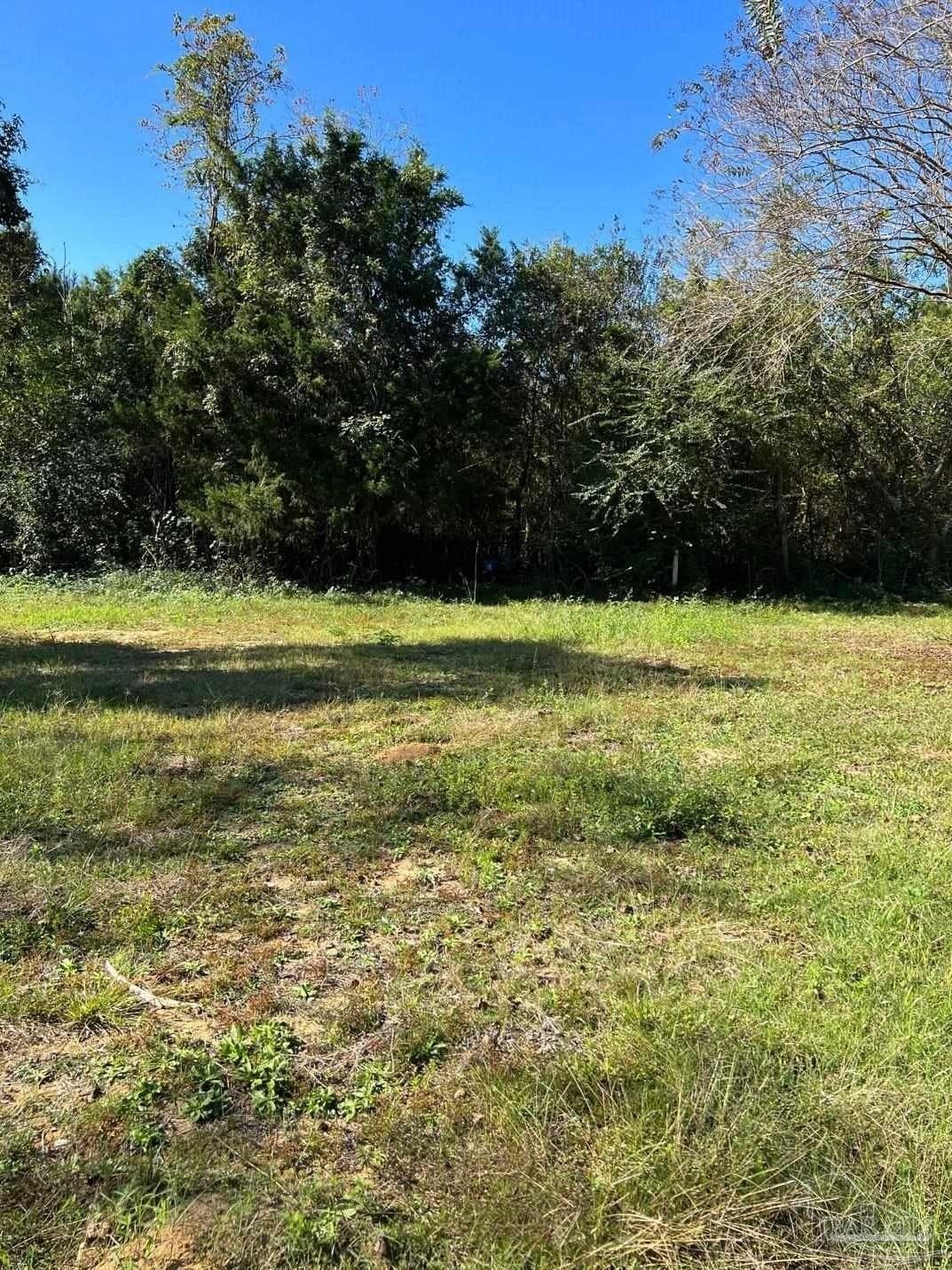 Foley, Baldwin County, AL Undeveloped Land, Lakefront Property