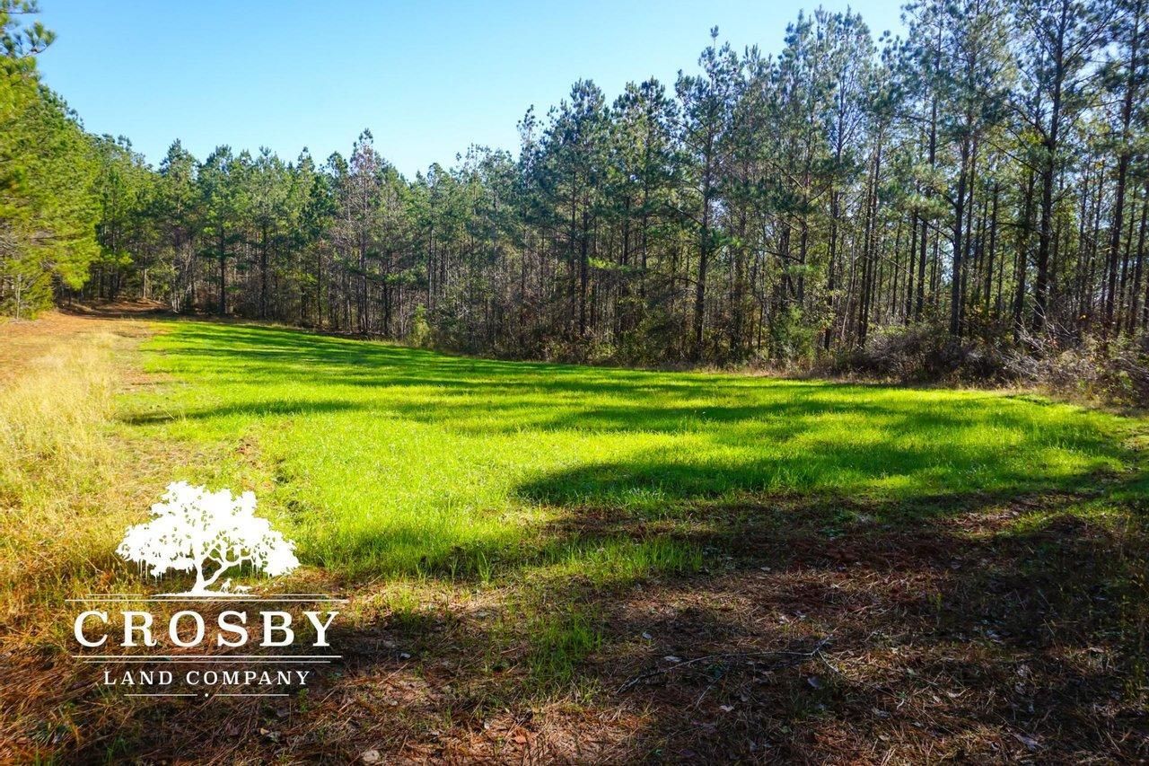 Clinton, Laurens County, SC Recreational Property, Timberland Property