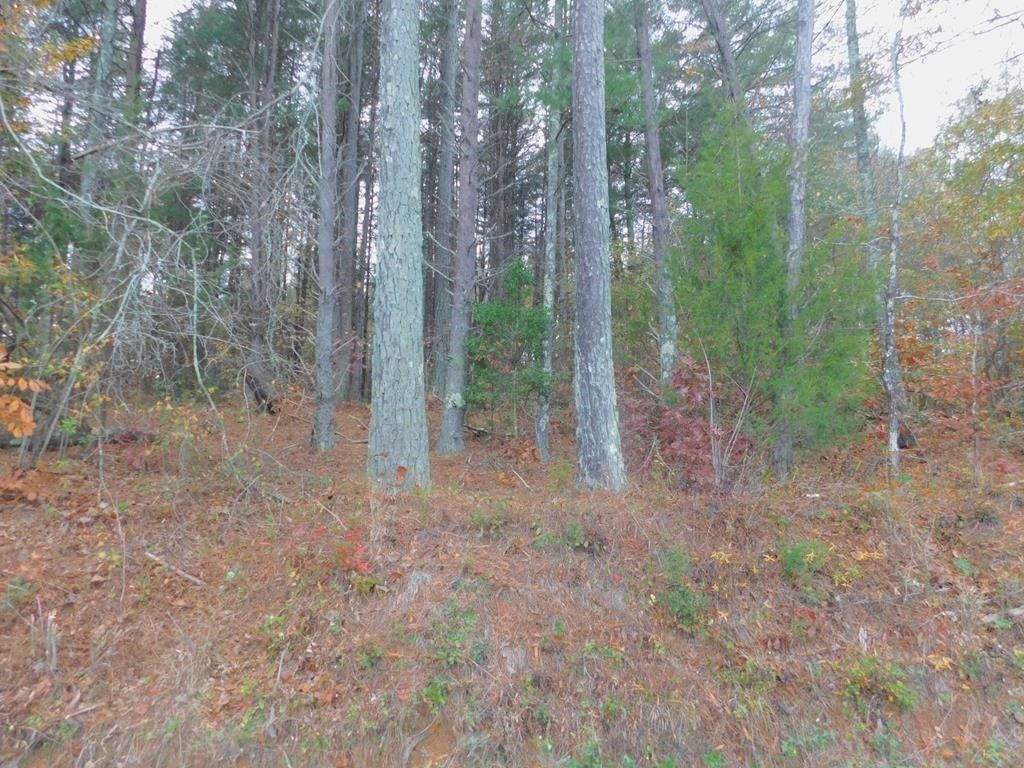 Gaffney, Cherokee County, SC Farms and Ranches for sale Property ID 415387674 LandWatch