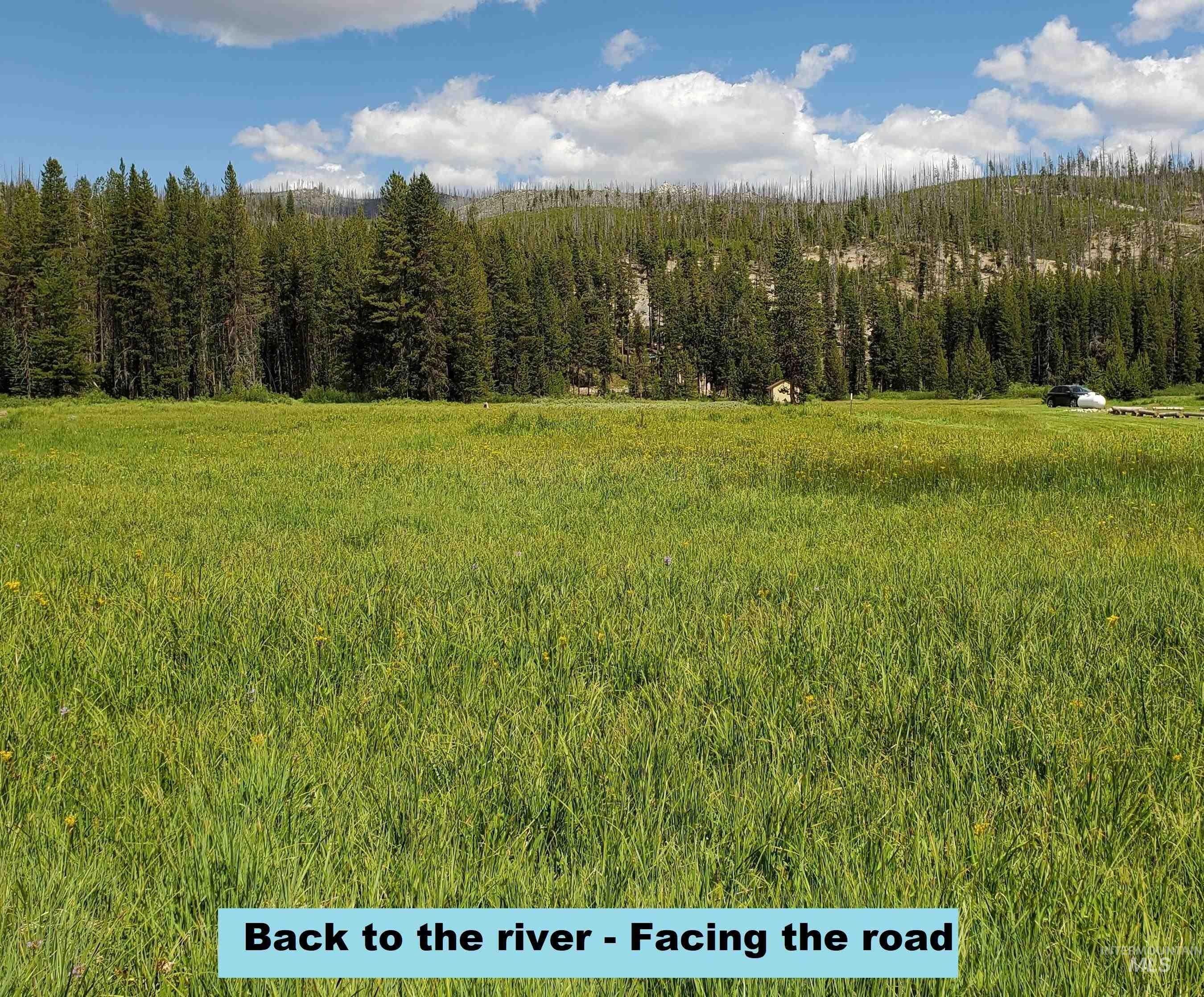 Burgdorf, Idaho County, ID Undeveloped Land, Lakefront Property