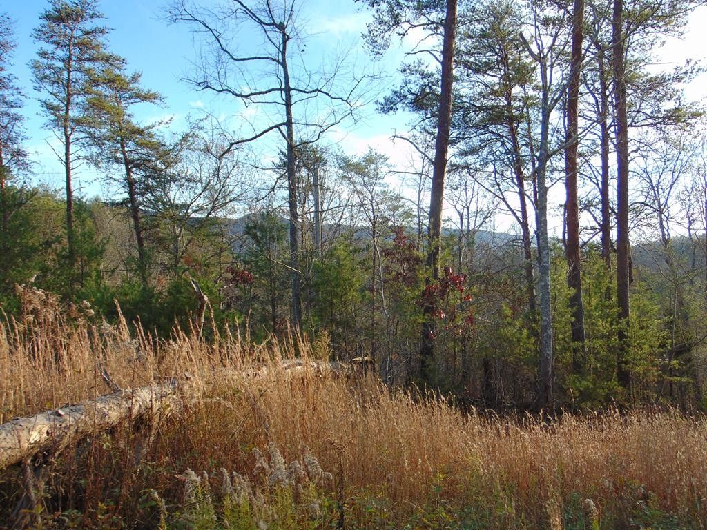 Englewood, McMinn County, TN Undeveloped Land for sale Property ID 415390029 LandWatch