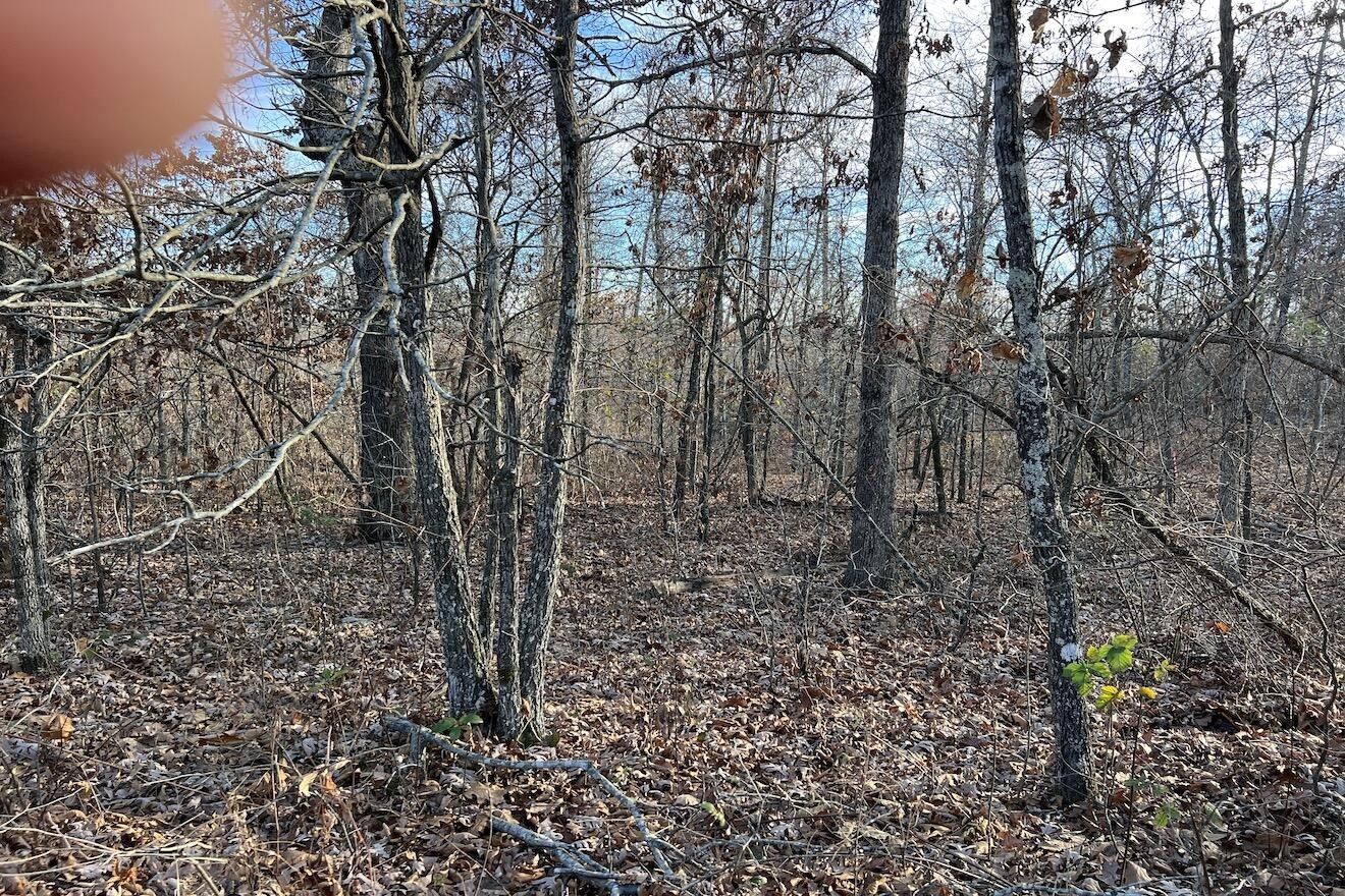 Mammoth Spring, Fulton County, AR Undeveloped Land, Lakefront Property