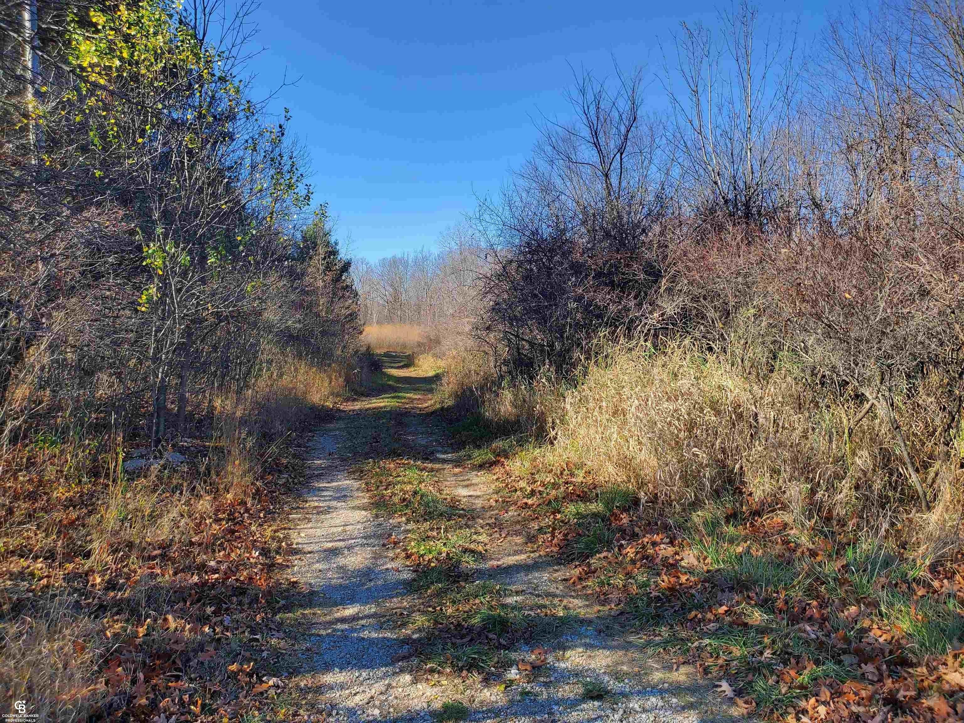 Yale, Saint Clair County, MI Undeveloped Land for sale Property ID