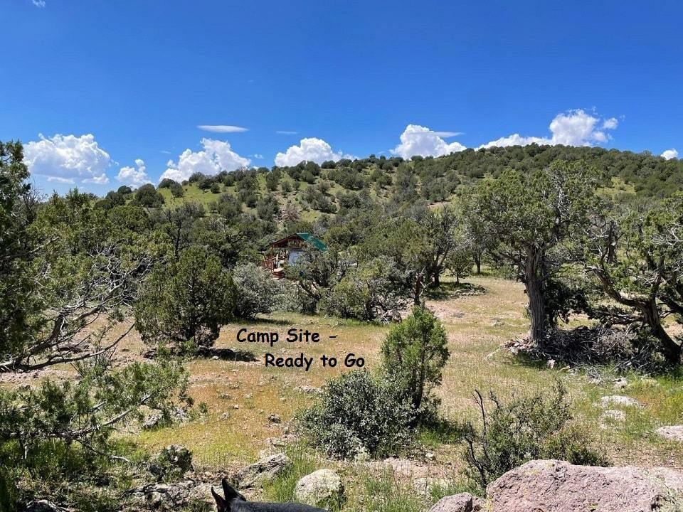 80 acres in Seligman, AZ, 86337 LandWatch