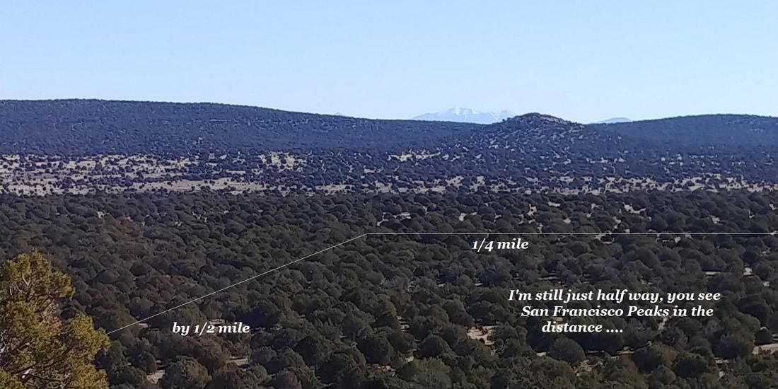 80 acres in Seligman, AZ, 86337 LandWatch