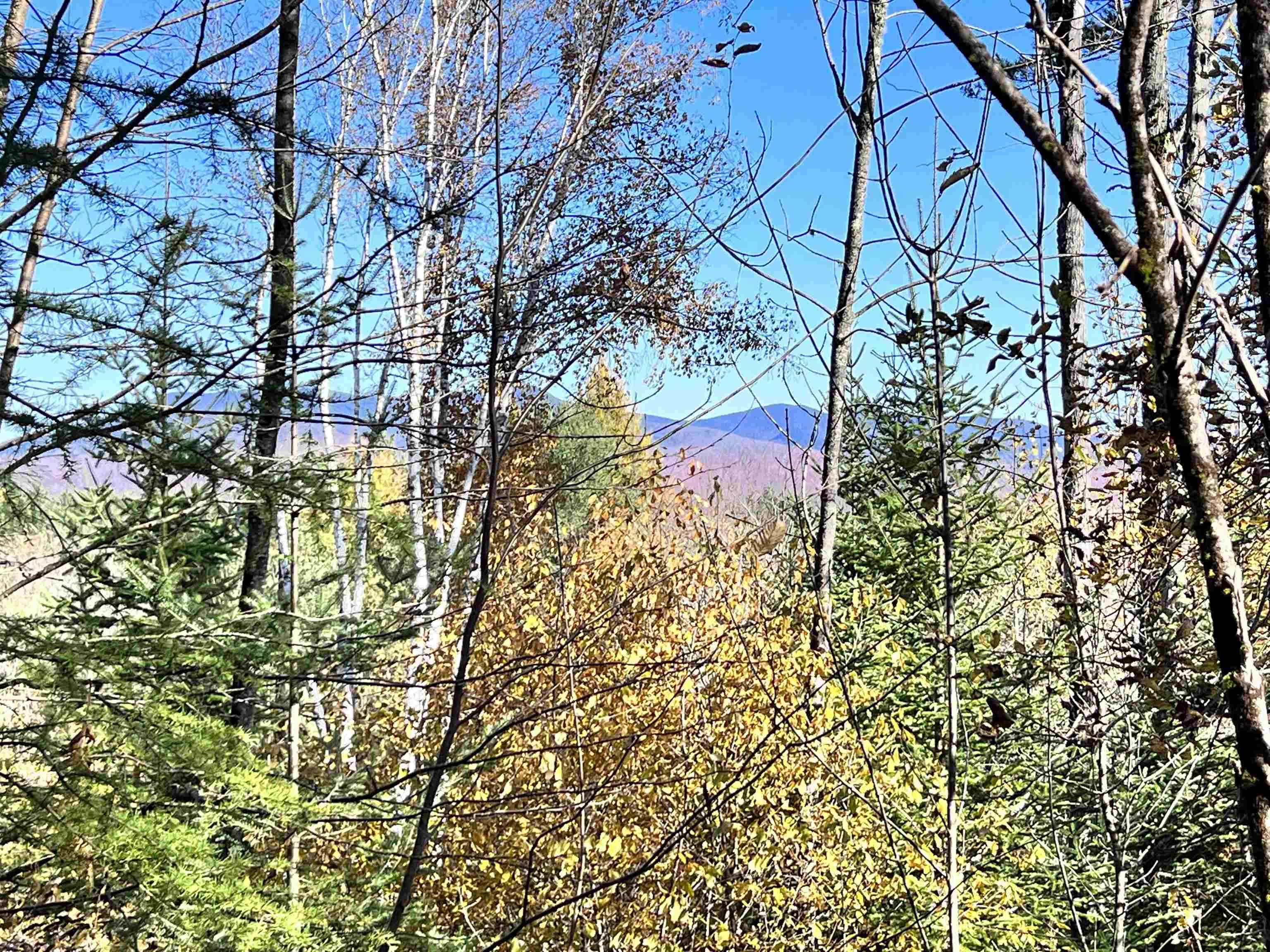 Guildhall, Essex County, VT Undeveloped Land for sale Property ID