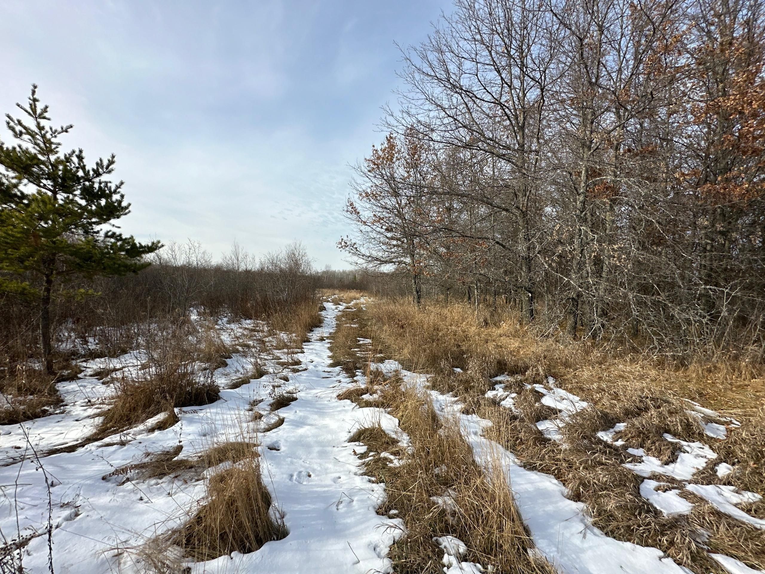 Pine River, Cass County, MN Recreational Property, Hunting Property for