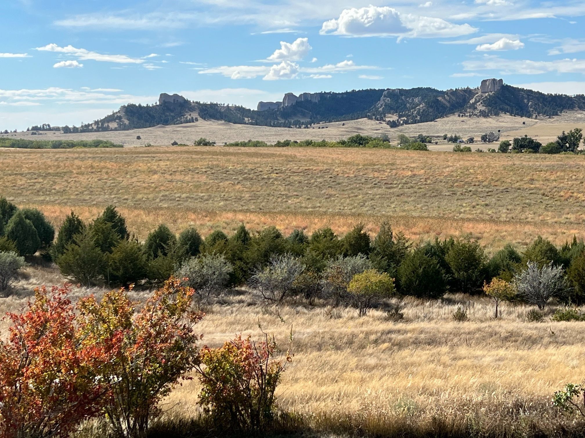 Crawford, Dawes County, NE Undeveloped Land for sale Property ID