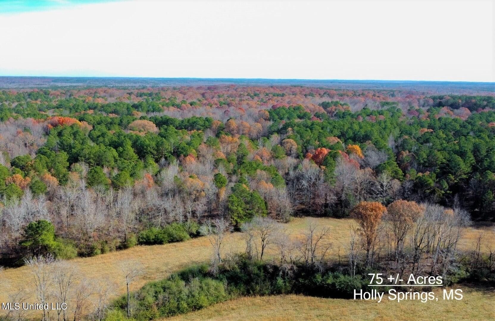 Holly Springs, Marshall County, MS Farms and Ranches for sale Property