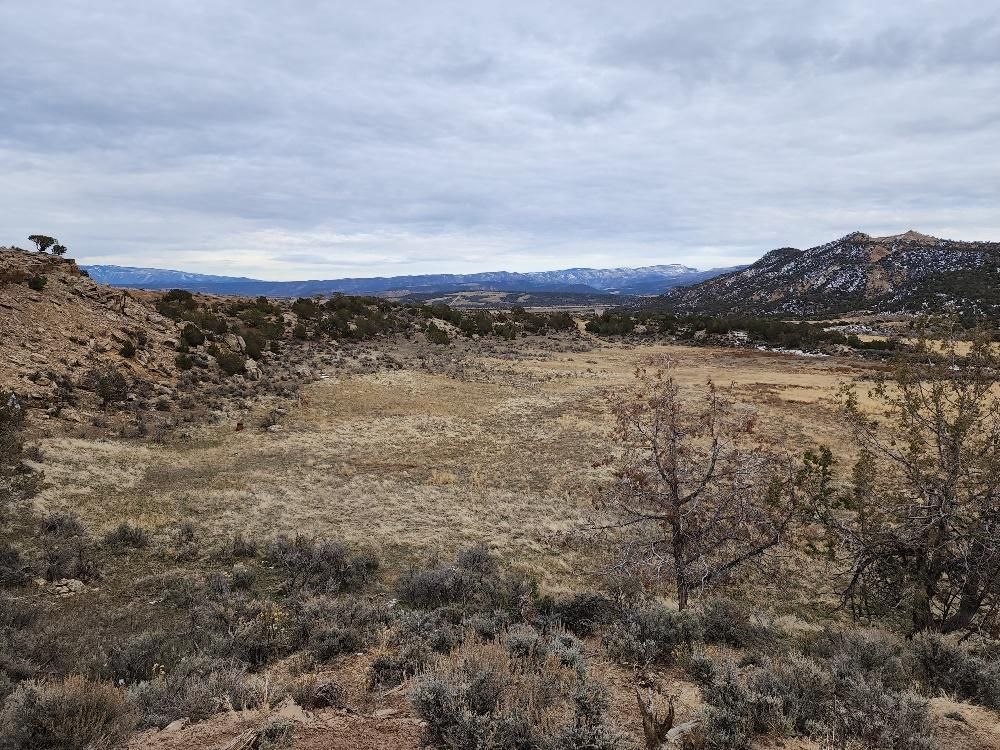 Rifle, Garfield County, CO Recreational Property, Hunting Property