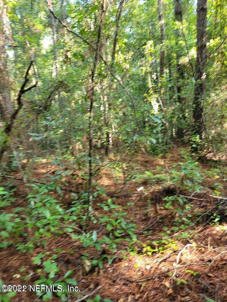 Middleburg, Clay County, FL Farms and Ranches, Homesites for sale