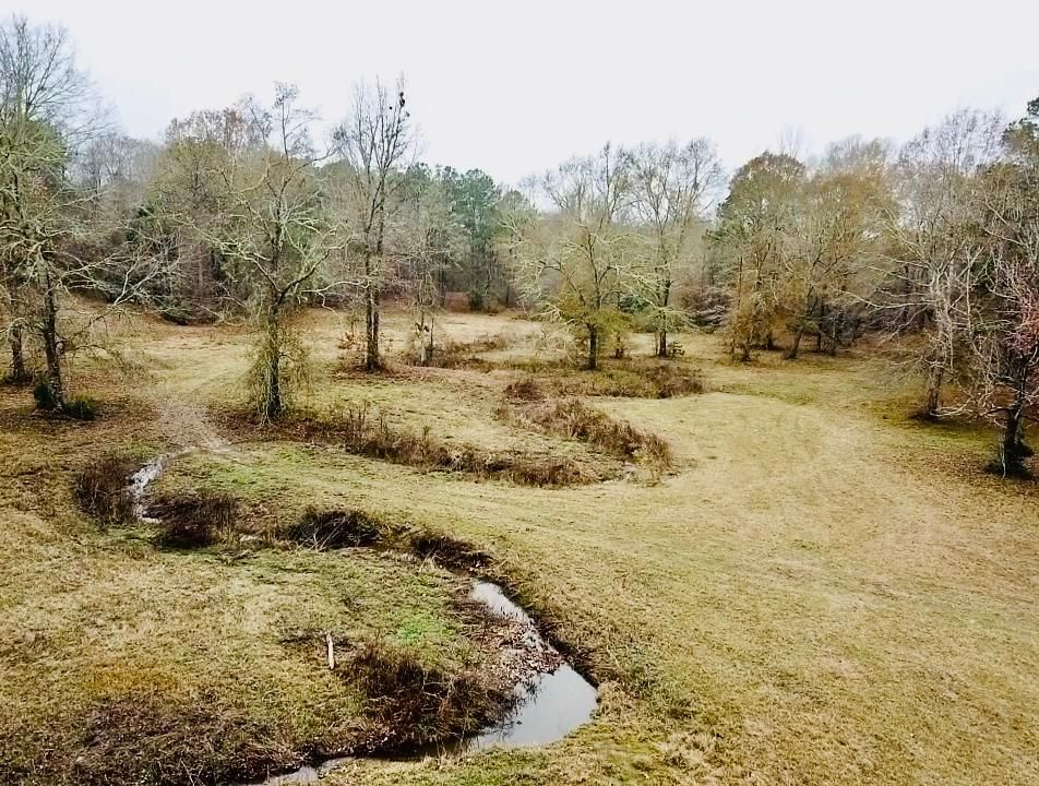 Beatrice, Monroe County, AL Recreational Property, Hunting Property